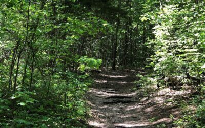 Spring Creek Forest Listed as a Favorite Place to Walk