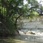 4th Sunday Nature Walk - Walk with Jane Duke – How does Soil Change the Forest