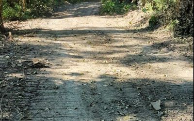 June 2025 new utility road construction destroyed parts of Preserve