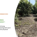 City Council - probable formal consideration of the phase 1 sewer proposal