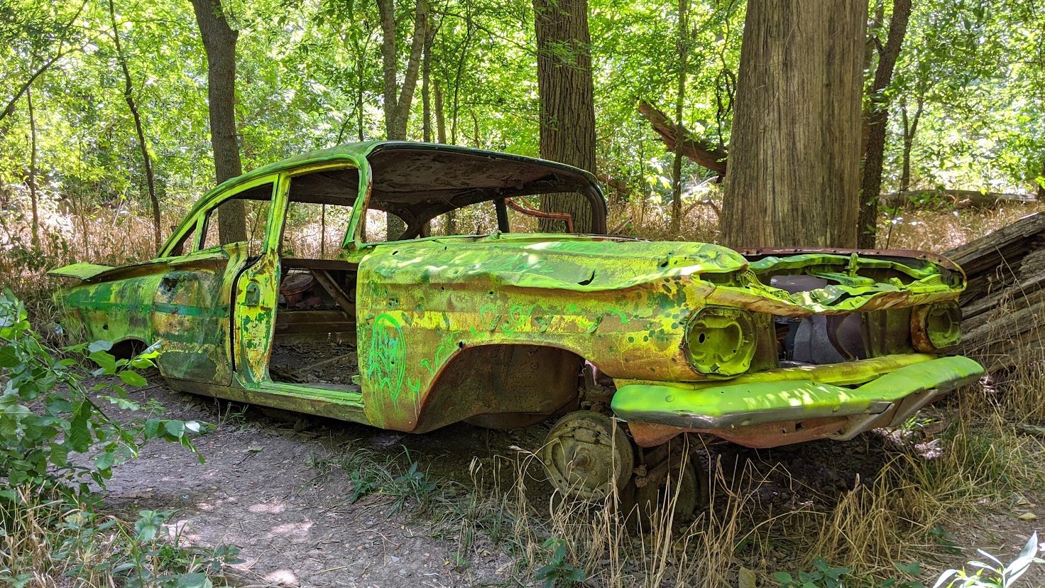 Work Session - Work on the BelAir trail and remove invasives