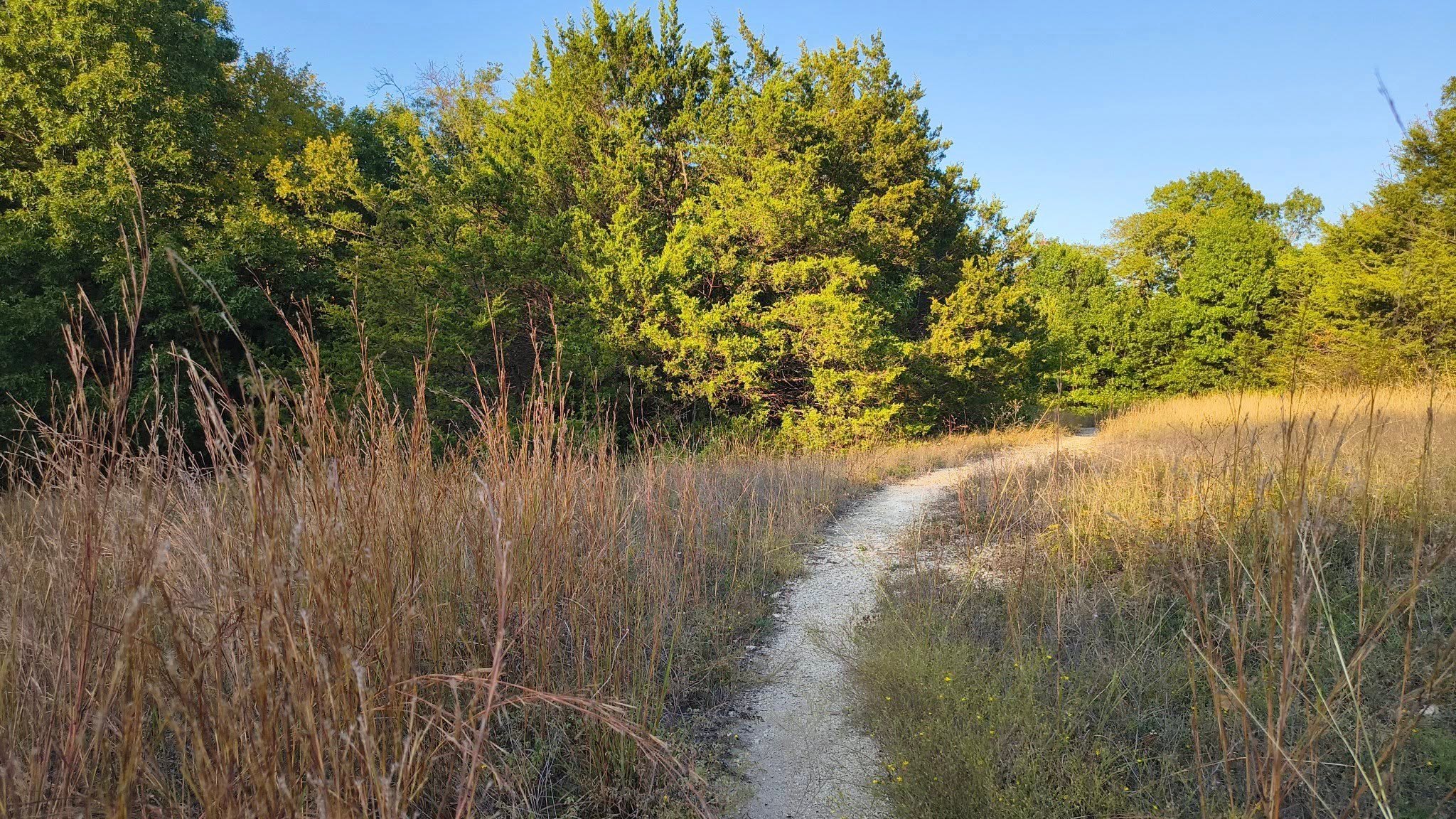 Speaker Series – Cayden O-Brien, Our Native Grasses