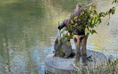 Update on damage to the forest