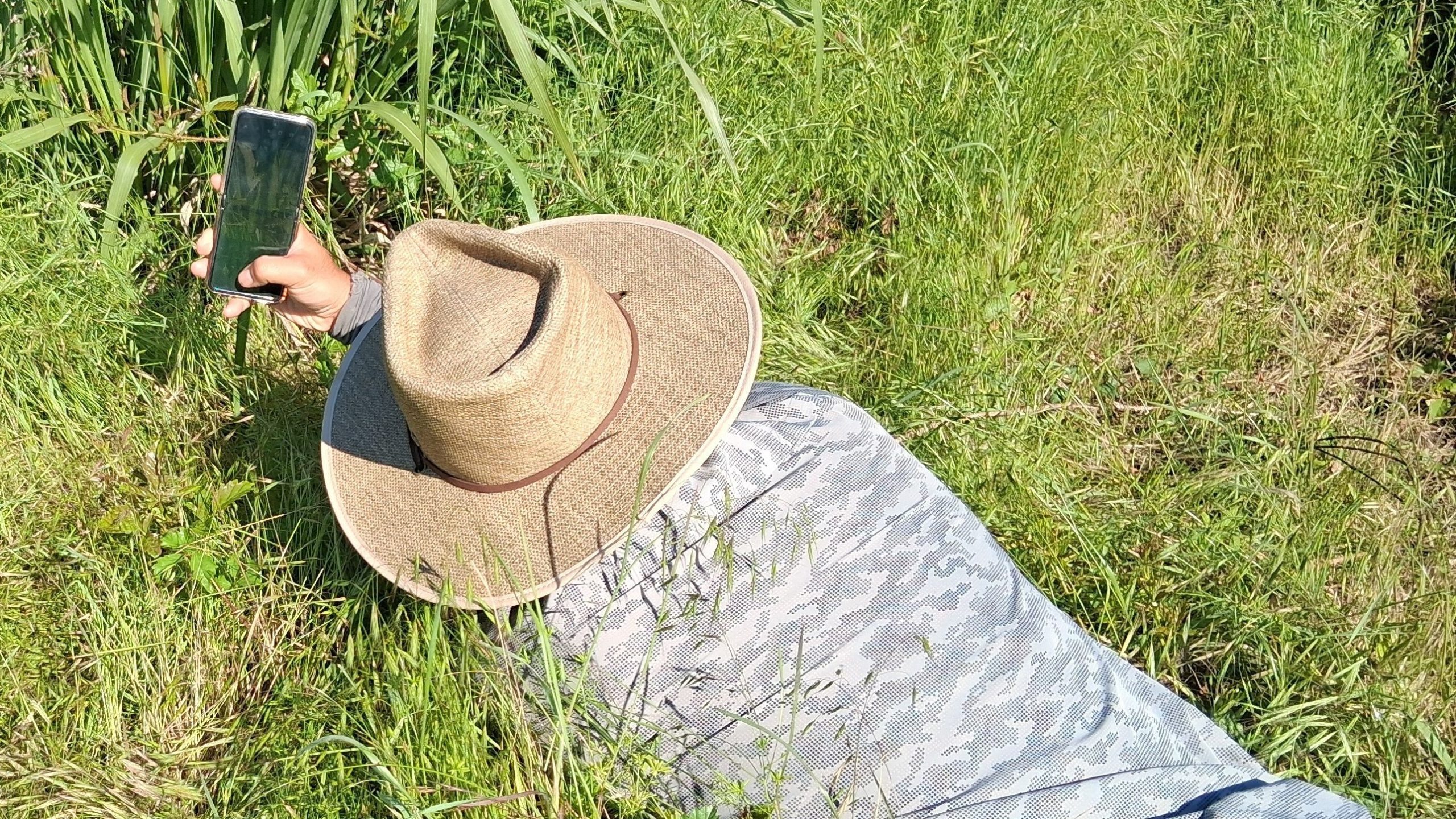 Spring Creek Park Preserve and the FIFA World Cup Organizing Committee Bioblitz