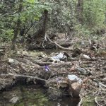 Work Session – Partners in Preservation: Hidden Gem Restoration - Volunteer Garland and the Society work together