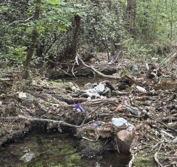 Work Session – Partners in Preservation: Hidden Gem Restoration - Volunteer Garland and the Society work together